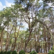 พระตำหนักเขาค้อ