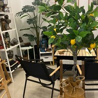 mindtree  craft coffee :)