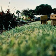 สุสานทหารสัมพันธมิตรดอนรัก