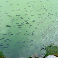 ครัวเข้าท่าคาเฟ่