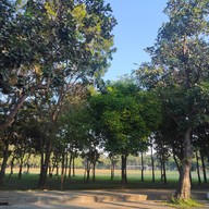 บรรยากาศ มหาวิทยาลัยเชียงใหม่