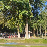 บรรยากาศ มหาวิทยาลัยเชียงใหม่