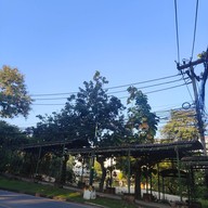 บรรยากาศ มหาวิทยาลัยเชียงใหม่