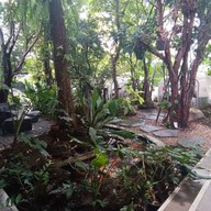 บรรยากาศ Potetato Restaurant &Cafe