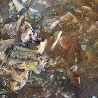 ร้านข้าวแกง69