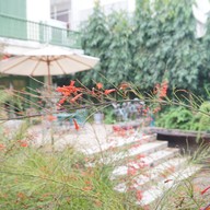 บรรยากาศ ERABICA COFFEE NAN เอราบิก้า คอฟฟี่ น่าน