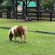 Trot Cafe,Khaoyai