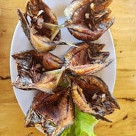 ครัวเลี้ยงหอย