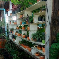 บรรยากาศ ภูดอย Cafe & Craft