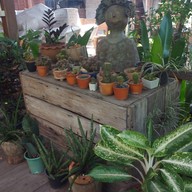 บรรยากาศ ภูดอย Cafe & Craft