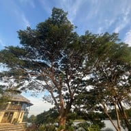 Sunset bay coffee