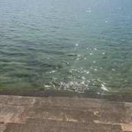 สวนรุกขชาติชายหาดแหลมเสด็จ