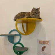APH Cafe - สุขุมวิท 21 (อโศก) สุขุมวิท 21