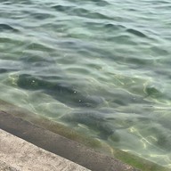 สวนรุกขชาติชายหาดแหลมเสด็จ