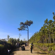 บรรยากาศ หลังแป