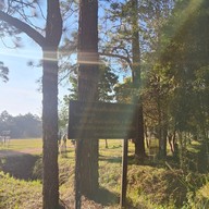 บรรยากาศ หลังแป