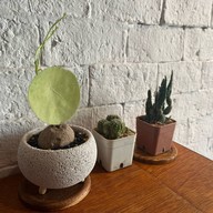 Freemind.Bkk ลาดพร้าว