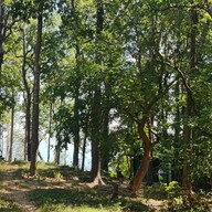 บรรยากาศ ซำแฮก