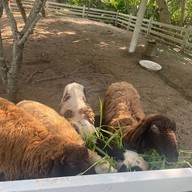 Gioia Ristorante North Hill City Resort