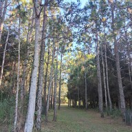 บรรยากาศ หลังแป