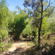 บรรยากาศ ซำบอน