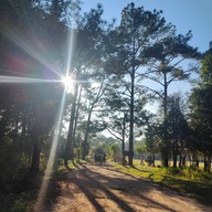 บรรยากาศ หลังแป