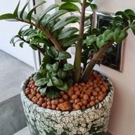 A la minute A la minute