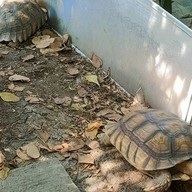 บ้านไม้กาแฟ เอกชัยซอย3