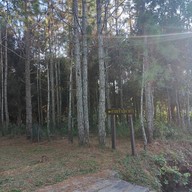 บรรยากาศ หลังแป