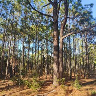 บรรยากาศ หลังแป