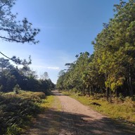 บรรยากาศ หลังแป