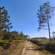 บรรยากาศ หลังแป