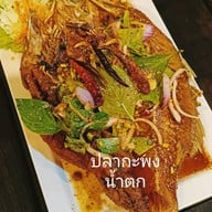 แมวน้ำ พระสมุทรเจดีย์