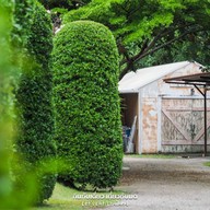 วิลล่าทัสคานีคันทรีรีสอร์ท