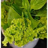 หนองคายป้าสุ สาขาราชพฤกษ์ ถนนราชพฤกษ์-รัตนาธิเบศร์