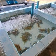 บรรยากาศ ครัวไข่มุก สะพานปลา ชะอำ