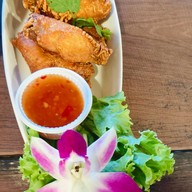 Monstera Cafe & Restaurants Monstera Cafe Angthong