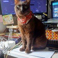 กาแฟยกล้อ พระนั่งเกล้า