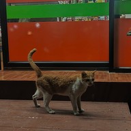 บรรยากาศ สถานีรถไฟนครลำปาง