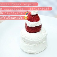 Bonnie homemade greek yogurt (Korean style)
