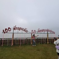 ปาย