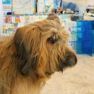 Someday Cafe ตลาดเหนือ เมืองภูเก็ต