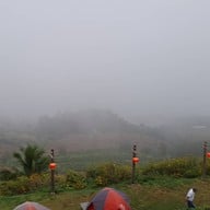 ปาย