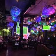 บรรยากาศ Zoods & Virtigo (Pub and Restaurant)