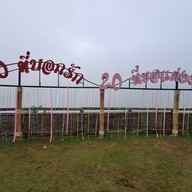 ปาย