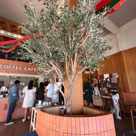 Half a Hund HALF A HUND Coffee cafe