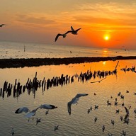 ชาน'เล รีสอร์ท&ซีฟู้ด