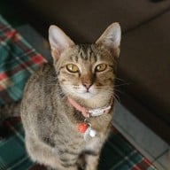 บรรยากาศ Whatadrink.family