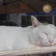 บรรยากาศ Whatadrink.family