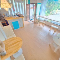 90's coffee Padad-Saraphi (ข้างร้านข้าวซอยคุณหญิง)